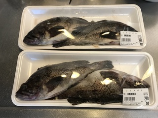 ソイメバルはソイ それともメバル 今日 魚屋さんでソイメバルとい Yahoo 知恵袋