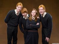 Harrypotterの ウィーズリー兄弟の双子についてです この Yahoo 知恵袋