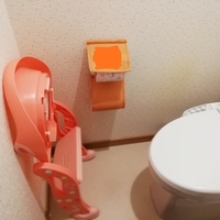 補助便座は何歳まで使いましたか ３歳過ぎて 普通のトイレで出来る子が Yahoo 知恵袋