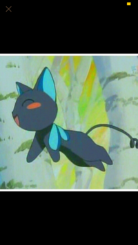この黒猫のアニメキャラクターの名前教えてください カード Yahoo 知恵袋