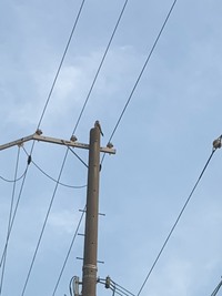 仮に コストコを兵庫県姫路市に誘致した場合 どこに建設するのが Yahoo 知恵袋