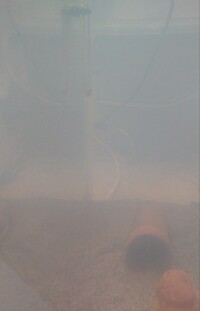 ドジョウが入っている60cmの水槽ですが白濁りでしょうか 画像のように Yahoo 知恵袋