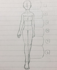 人の体のアタリを描きました 胸の位置とか胴体 足 腕の長さなど分からな Yahoo 知恵袋