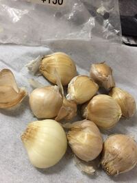 イヌサフランの毒の部位を教えてください 増えすぎたので少し駆除をしよ Yahoo 知恵袋