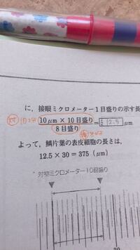 接眼レンズ10倍 対物40倍のとき 接眼ミクロメーター1目盛りの長さを求め Yahoo 知恵袋