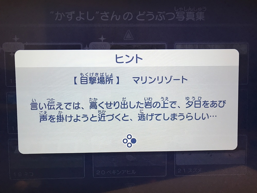 ゴーバケーションのスイッチ版についてですマリンリゾートで高く Yahoo 知恵袋