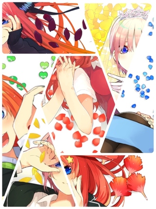 五等分の花嫁の漫画の表紙で背景にある花びらがなんの花か教えて Yahoo 知恵袋