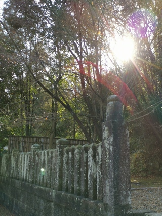 写真に写った赤い光 帯 みたいなものはなんでしょうか とある神社 Yahoo 知恵袋