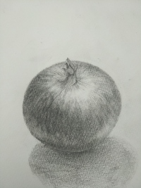 玉ねぎの鉛筆画 静物画玉ねぎ タマネギ-鉛筆デッサン描き方｜デッサン初心者のための描き方講座
