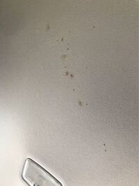 500枚です 中古車の下に血が 事故車のようですが返品でき Yahoo 知恵袋