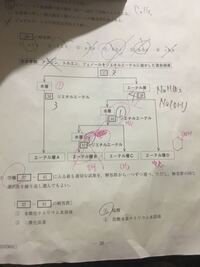 東洋大学の進級手続きについて質問です 今日進級手続きをしたので Yahoo 知恵袋