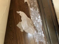 賃貸の物件に越して来ました リビングの床がクッションフロアとい Yahoo 知恵袋