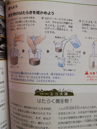 最も欲しかった 微生物 種類 中学 微生物 種類 中学生