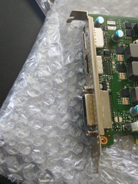 神奈川県内にサワガニの取れる川ってありますか 伊勢原の日向 Yahoo 知恵袋