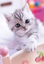 主に関西の人が使う ツレ たぶん漢字では 連れ とはどういう Yahoo 知恵袋