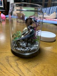 モンハンのフィギュアでミニジオラマを製作してみたのですが 何か物足りな Yahoo 知恵袋