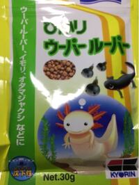 アカハライモリが餌を食べてくれません 飼い始めて四日目 四匹飼って Yahoo 知恵袋