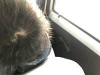 つむじが2つあってどうしてもハゲて見えます ツイストあて Yahoo 知恵袋