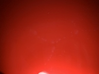 車のステッカーを剥がした後の粘着跡はどうすればうまくとれます Yahoo 知恵袋