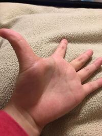 手首を掴んで最大でどこまで届きますか 小指と親指届く Yahoo 知恵袋