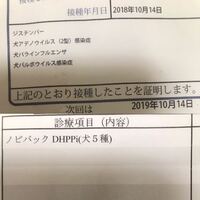 ワクチン証明書がなんか怪しいイベントなどでペット販売してる業 Yahoo 知恵袋