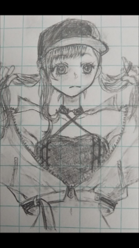 デジタルイラストについて質問です 私は手書き シャーペン で書いた絵を描 Yahoo 知恵袋