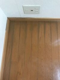 部屋のフローリングの床の隅に白カビらしきものが発生しました 取り除くためにはど Yahoo 知恵袋