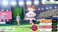 ポケモンについて質問です にどげりって二回攻撃で威力30ですか それと Yahoo 知恵袋