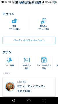 先日ディズニーシーのチケットを購入したのですが 公式アプリの購入済みチケ Yahoo 知恵袋