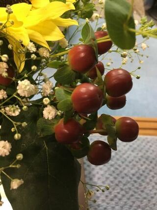この赤い実の花って名前なんですか ヒペリカムでしょう Yahoo 知恵袋
