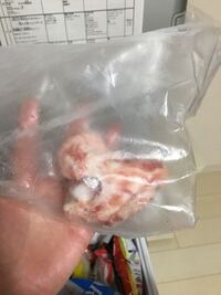 秋田犬を飼っています たまに骨をあげた方がいいと聞き スペアリブ Yahoo 知恵袋