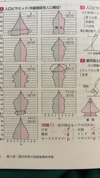 高校地理b 人口ピラミッド中国 オーストラリア フランスの Yahoo 知恵袋