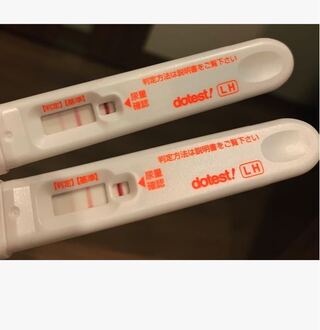排卵検査薬で妊娠判定画像