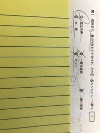 洗剤に記載してある 混ぜるな危険 は硫化水素ですよね 何と何を混ぜると危険な Yahoo 知恵袋