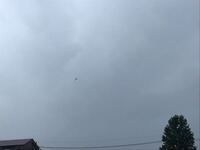 狂愛 ってどう読むのですか きょうあい 教えて下さい 意味は大好きとい Yahoo 知恵袋