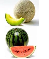 農家野菜にも育てる難易度ってものがあるのでしょうか スイカや Yahoo 知恵袋