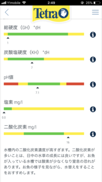 写真のベタは赤斑病でしょうか 背びれの一部が赤くなりました Yahoo 知恵袋