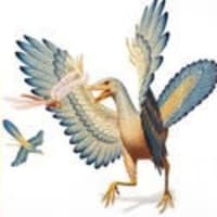 生まれて初めて見たものを親と思う 刷り込み は 鳥以外の生物ではあ Yahoo 知恵袋