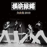 ８０年代に放送されたアニメ 巨神ゴーグ 主題歌の輝く瞳のｔａｋｕって横浜銀蝿 Yahoo 知恵袋