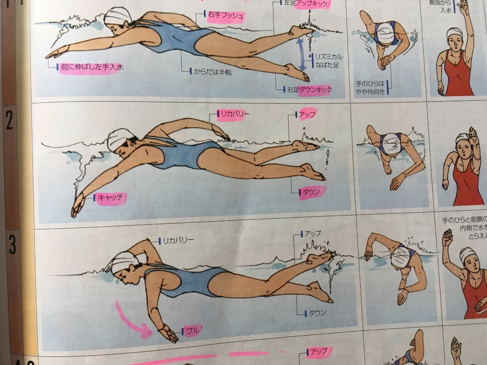 中学1年 水泳について質問ですプッシュリカバリーキャッチプル Yahoo 知恵袋