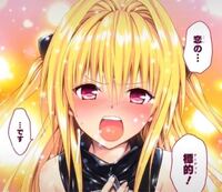 Toloveるダークネスの画像でこのようなものを見つけたので Yahoo 知恵袋