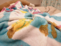 大至急お願いします 犬の嘔吐物に血が混ざっていました 11歳 7歳 Yahoo 知恵袋