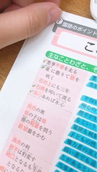 漢字の読み方を教えてください 菊の種類で 厚物 管物 広物 とあるそうなん Yahoo 知恵袋