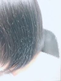 今日美容室で縮毛矯正をかけてもらいました でも家に帰ってしばらくすると Yahoo 知恵袋