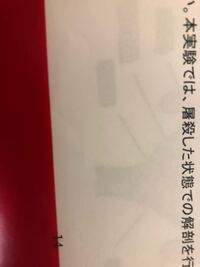 にんべん イ に 我 という感じの読み方を教えて下さい Yahoo 知恵袋