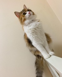 女の子で2文字の可愛い名前を教えてください ほんわかと優しく Yahoo 知恵袋