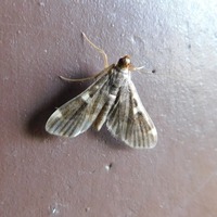 愛知県春日井市の過去の積雪量をしりたいのですが 春 Yahoo 知恵袋