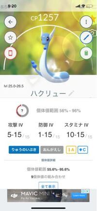 名前を漢字に変換できるポケモンって何がいますか 例ハクリュー 白竜 面 Yahoo 知恵袋