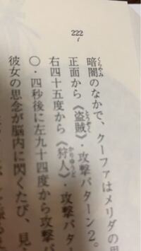 時々 新しい小説の触れてもいない箇所に黒い点のようなものがあるのですが Yahoo 知恵袋