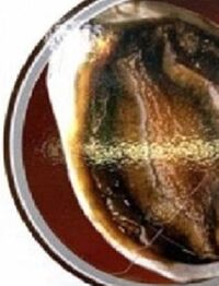 わたしが独身時代に 札幌であわびの専門料理の店 あわびの源太 で食べた あわび Yahoo 知恵袋